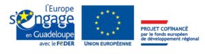 www.europe-guadeloupe.fr