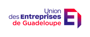 www.ude-medef.com
