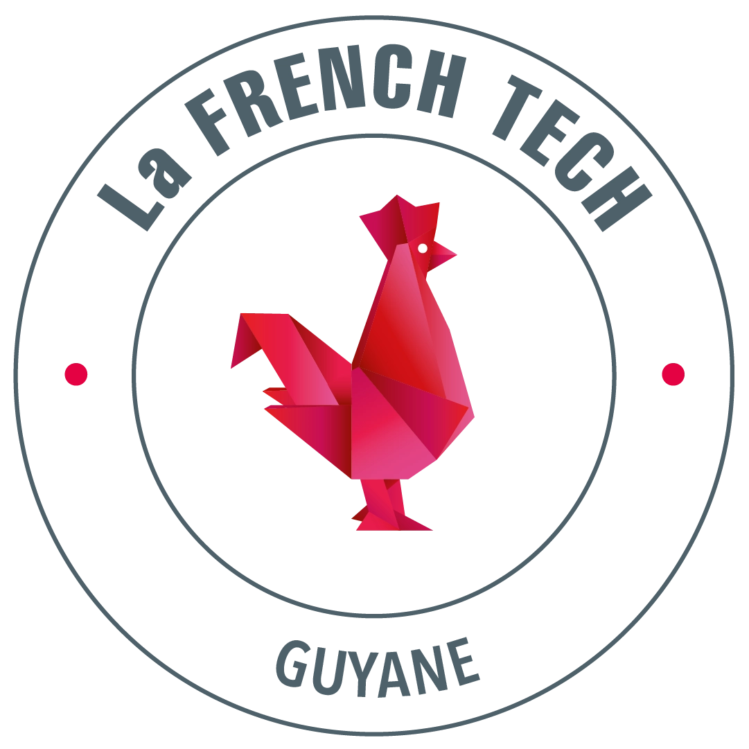 Logo_FrenchTech_GUYANE