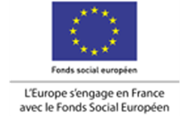 www.fse.gouv.fr