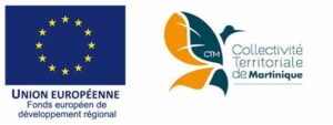 www.europe-martinique.com