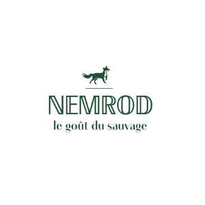 Logo-Nemrod-wp