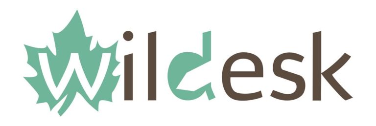 wildesk