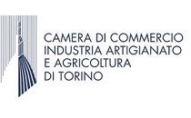 www.to.camcom.it
