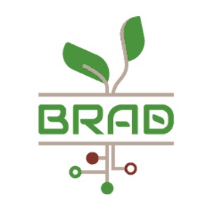 BRAD