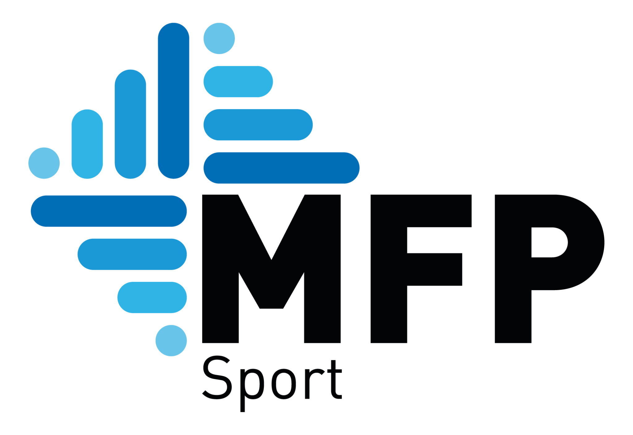logo_MFP_valide-002-2048×1408